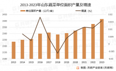 2025年中国蔬菜的领头羊“山东”沉点数据阐发：